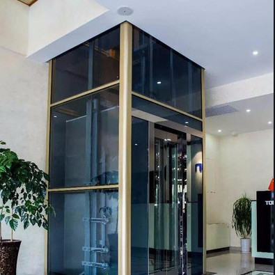o passageiro 1.5m/s residencial levanta a cabine de aço inoxidável do elevador 400KG