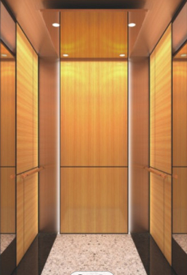 10 cabine de aço inoxidável do elevador do elevador CNAS do passageiro das pessoas