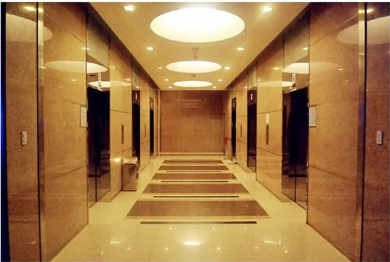 10 elevadores hidráulicos residenciais da casa dos elevadores 1.75m/s das pessoas 1150KG