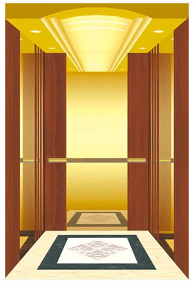 os elevadores 2.0m/s residenciais 13 pessoas 1350KG comprimem elevadores da casa