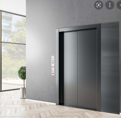 6 cabine de aço inoxidável residencial do elevador dos elevadores 630KG das pessoas