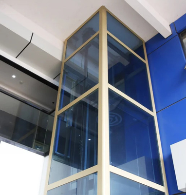 Elevador panorâmico da porta de vidro sem as pessoas do poço 250kg 3