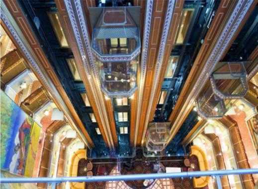 Elevador panorâmico 800KG de 10 pessoas em volta do elevador de vidro residencial